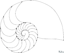 Nautilusse Kleurbladsye Om Te Druk