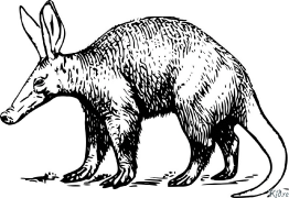 Aardvark Çap Etmək Üçün Səhifələrin Rənglənməsi