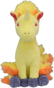 Rapidash মিডিয়া