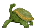 Tortuga Imatges Animades Gif