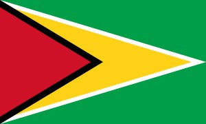 Guyana Mitjans De Comunicació