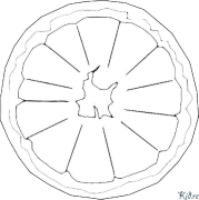 Pompelmo Pagine Di Culore Stampabile