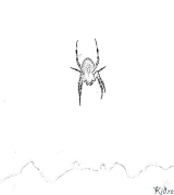 Spider Pagine Di Culore Stampabile