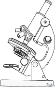 Microscope Pagine Di Culore Stampabile