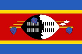 Swaziland Cyfryngau