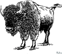 Bison Tudalennau Lliwio Y Gellir Eu Hargraffu