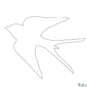 Swallows Coloring Pages To Print