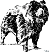 Chow Chow Coloring Pages To Print