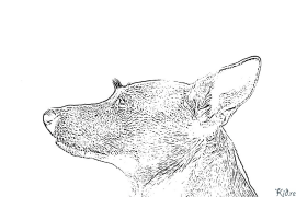 Jack Russell Terrier Coloring Pages To Print