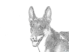 King Shepherd Coloring Pages To Print