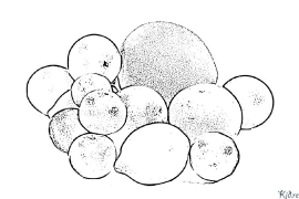 Lemon Coloring Pages To Print