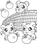 Hamtaro Páginas Para Colorear Para Imprimir