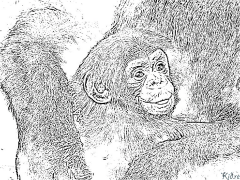 Chimpanzé Coloriages À Imprimer