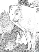 Loup Coloriages À Imprimer