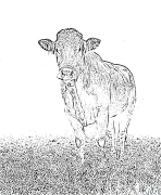 Vache Coloriages À Imprimer