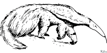 Anteater Printbere Kleurplaten