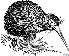 Kiwi Printbere Kleurplaten