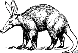 Aardvark Páxinas Para Colorear Imprimibles