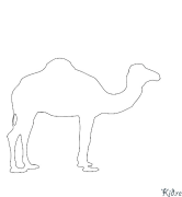 Camelo Páxinas Para Colorear Imprimibles