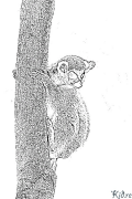 Lemur Printable Coloring Nplooj Ntawv