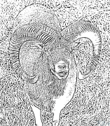 Mouflon Printable Coloring Nplooj Ntawv