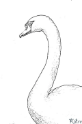 Swan Printable Coloring Nplooj Ntawv