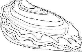 Oyster - Mussel Printable Coloring Nplooj Ntawv