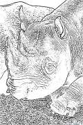 Rhinoceros Printable Coloring Nplooj Ntawv