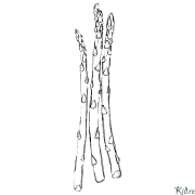 Asparagus Printable Coloring Nplooj Ntawv