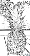 Pineapple Printable Coloring Nplooj Ntawv