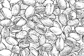 Pistachio Printable Coloring Nplooj Ntawv