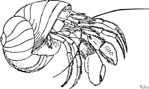 Kepiting Pertapa Halaman Mewarnai Yang Dapat Dicetak