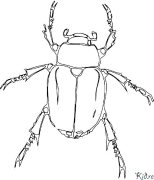 カブトムシ 印刷可能なぬりえ