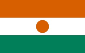 Niger Medien