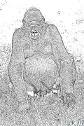 Gorila Spausdinami Spalvinimo Puslapiai