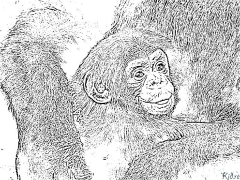 Šimpanzė Spausdinami Spalvinimo Puslapiai